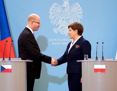 Miniatura: Wspólne stanowisko Polski i Czech ws....