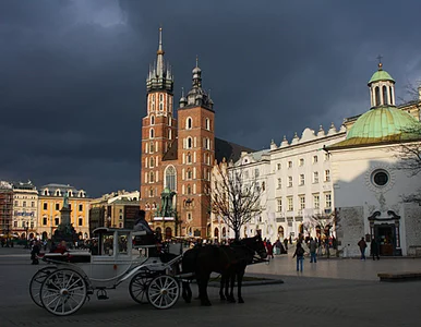 Miniatura: Stare Miasto w Krakowie ma być parkiem...