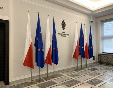 Miniatura: Flagi UE wróciły przed gabinet marszałka...
