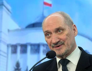 Miniatura: Macierewicz: tupolew nie uderzył w drzewo....