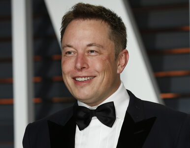 Miniatura: Elon Musk pochwalił firmę produkującą...