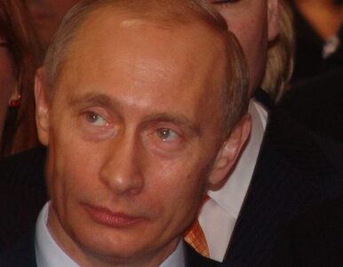 Miniatura: Putin wdzięczny Janukowyczowi za poprawę...