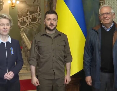 Miniatura: Ważny krok w stronę członkostwa Ukrainy w...