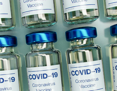 Miniatura: EMA zatwierdziła szczepionkę...