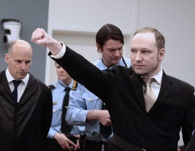 Miniatura: Breivik obraża rodziny ofiar i poprawia...