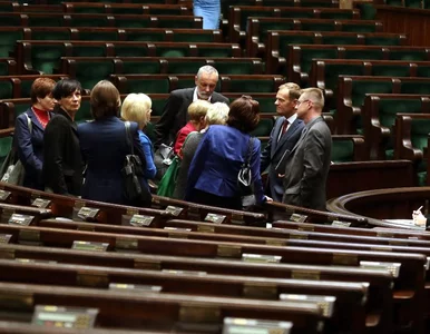 Miniatura: Ślązacy mają własną komisję w Sejmie