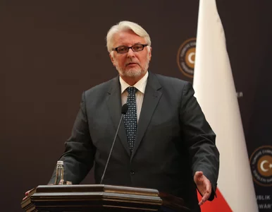 Miniatura: Waszczykowski: Wczorajszy protest był kpiną