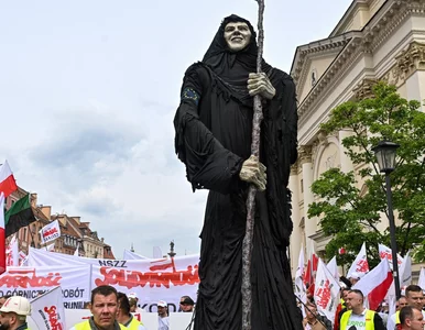 Miniatura: Prorosyjskie nastroje na proteście...