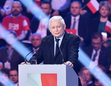 Miniatura: Kaczyński nie zgodził się na dymisję...