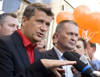 Miniatura: Palikot: podatki nie są największym...