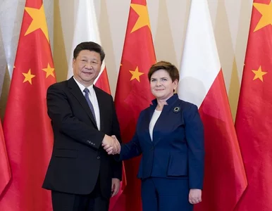 Miniatura: Szydło w Chinach: Projekt Pasa i Szlaku...