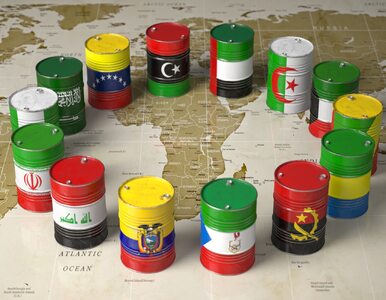 Po szczycie OPEC+ jest zgoda i redukcja. Co to oznacza dla rynku ropy?