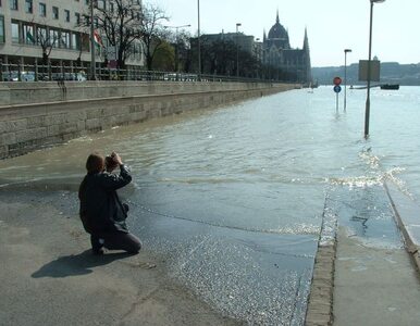 Miniatura: "W centrum miasta dwa metry wody"....