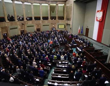 Miniatura: Polityk PO radzi PiS-owi. „Budujcie...