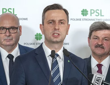 Miniatura: Liderzy PSL nie będą protestować w...