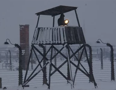 Miniatura: Niemcy przekażą 60 mln euro na Auschwitz....