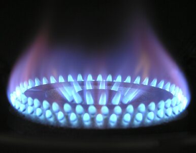Rząd przyjął projekt ustawy zamrażającej ceny gazu