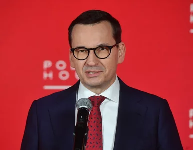 Miniatura: Morawiecki w Davos: Jestem gorącym...