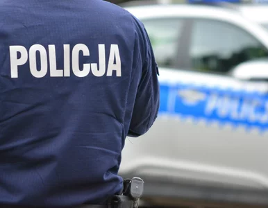 Miniatura: W policji będą szybsze awanse? Szykuje się...