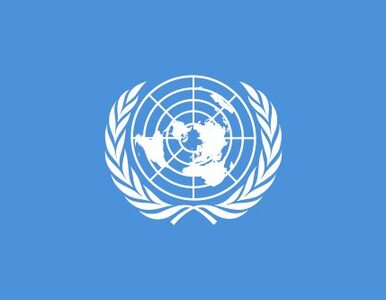 WKS: zabłąkana kula zabiła Szwedkę z ONZ