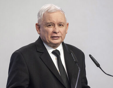 Miniatura: Kaczyński: Mój brat nie fraternizował się...