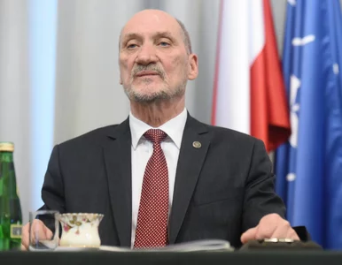 Miniatura: Antoni Macierewicz ma ochronę i prywatnego...