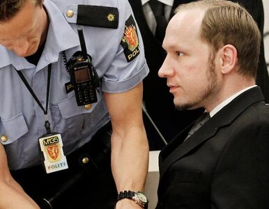 Miniatura: Co Breivik zażył przed masakrą?
