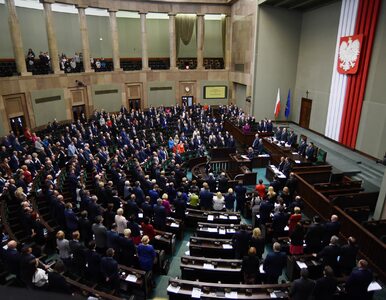 Miniatura: Sejm odrzucił projekt PO ws. karalności...