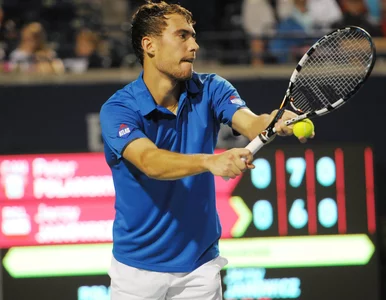 Miniatura: Ranking ATP: Janowicz mocno w górę