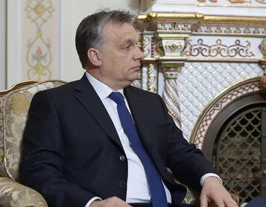 Miniatura: Orban uderza w Ukrainę. Żąda autonomii dla...