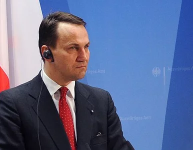 Miniatura: Sikorski: UE w ciągu dwóch godzin robi to,...