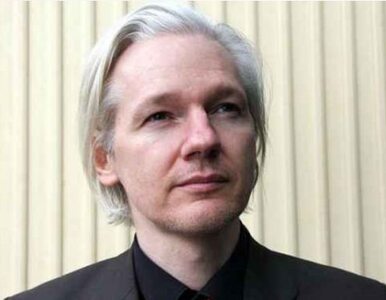 Miniatura: Sprawa ekstradycji Assange odroczona