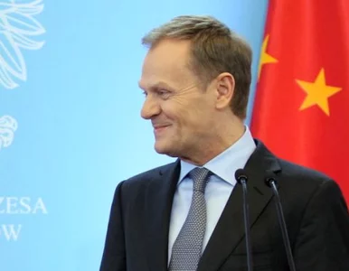 Miniatura: Tusk: chińskie propozycje są imponujące