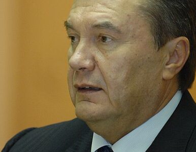 Miniatura: W rezydencji Janukowycza zamieszkali......