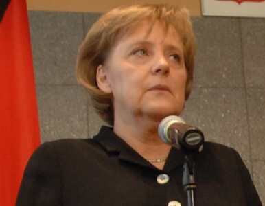 Miniatura: Merkel: Polacy doznali z rąk Niemców...