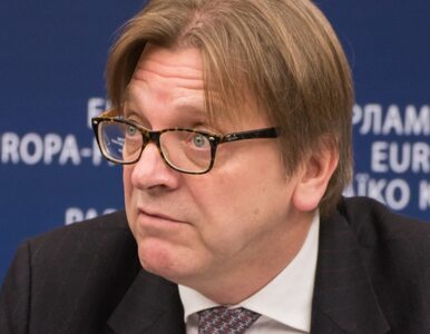 Guy Verhofstadt po raz kolejny niepochlebnie o rządach PiS
