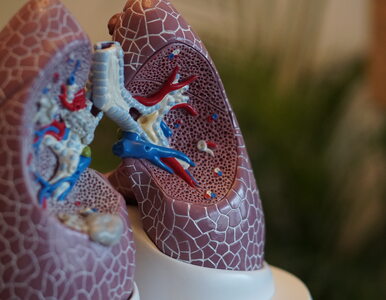 Miniatura: Wczesne objawy raka płuca są ignorowane, a...