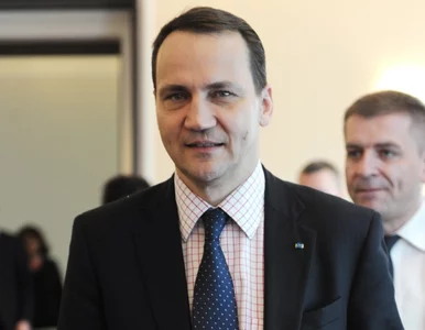 Miniatura: Sikorski o wraku: kierujcie oskarżenia we...