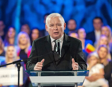 Miniatura: Proces Kaczyński vs. Wałęsa. „Prezes PiS...