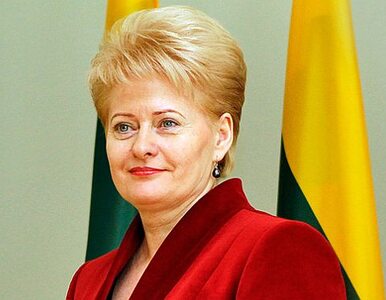 Miniatura: Prezydent Litwy: Kreml finansuje część...