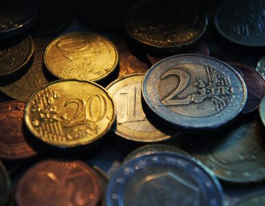 Miniatura: Węgry: nie wprowadzimy euro przez 20 lat