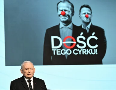 Miniatura: Kaczyński twierdzi, że Polska będzie...