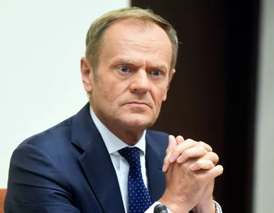 Miniatura: Tusk krytykowany przez Węgrów. „Marny...