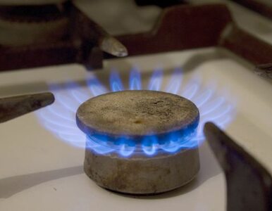 Miniatura: Europoseł PO: gaz łupkowy jest przyjazny...
