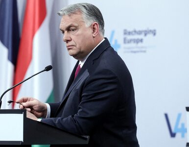 Miniatura: Orban o sytuacji na granicy...