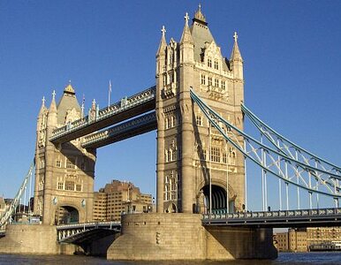 Miniatura: WOŚP w Londynie po raz trzeci