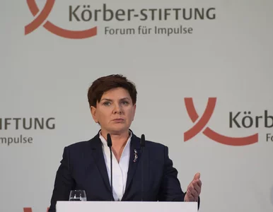 Miniatura: Szydło likwiduje stanowiska pełnomocników,...