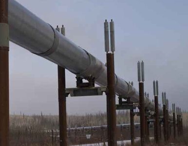 Miniatura: Rosyjska oferta dla Białorusi: tania ropa...