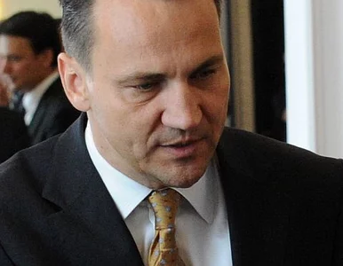 Miniatura: Sikorski poszedł do Belwederu "wspominać...