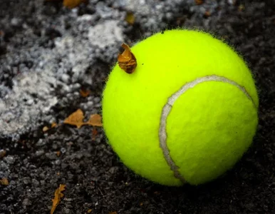 Miniatura: US Open: porażka Matkowskiego w mikście